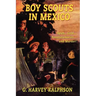 Boy Scouts in Mexico, or On Guard with Uncle Sam