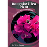 Bougainvillea Plant: Plant overview and guide