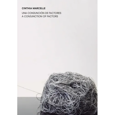 Cinthia Marcelle: A Conjunction of Factors