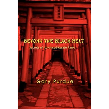 Beyond the Black Belt: Secrets of Advanced Karate Ranks