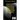 Cosmoport