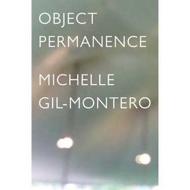 Object Permanence