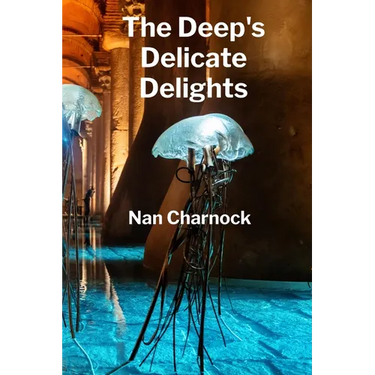 The Deep's Delicate Delights: Ocean Floor Petrology, Mapping Sub-Sea Structures and Hydrothermal Processes