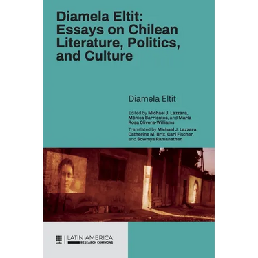 Diamela Eltit: Essays on Chilean Literature, Politics, and Culture