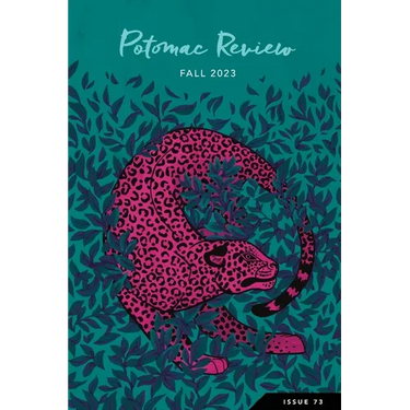Potomac Review Issue 73