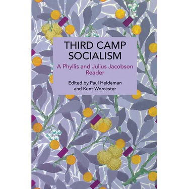 Third Camp Socialism