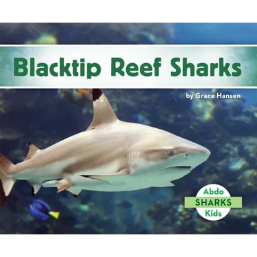 Blacktip Reef Sharks