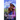 The Taming of Jessi Rose