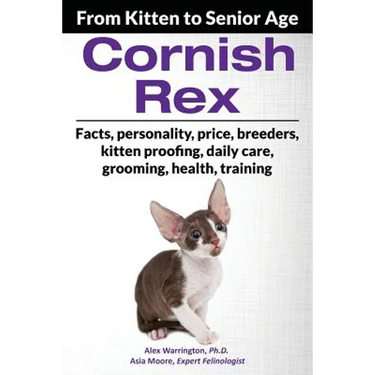Cornish Rex: From Kitten to Senior Age