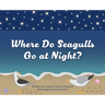 Where Do Seagulls Go at Night?