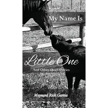 My Name Is Little One: And Other Short Stories
