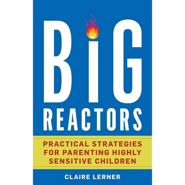 Big Reactors: Practical Strategies for Parenting Highly Sensitive Children