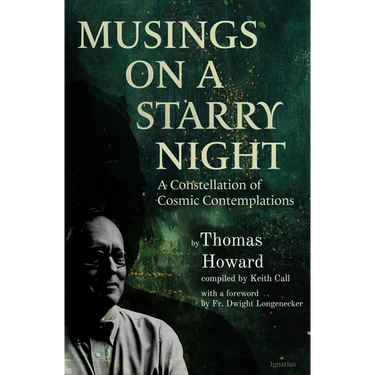 Musings on a Starry Night: A Constellation of Cosmic Contemplations