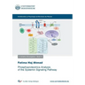 Phosphoproteomics Analysis of the Systemin Signaling Pathway
