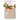 The PlantPlus Diet Solution: Personalized Nutrition for Life