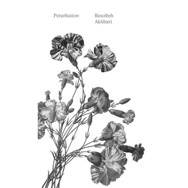 Peturbation: A Speculative History of Future(s) Past