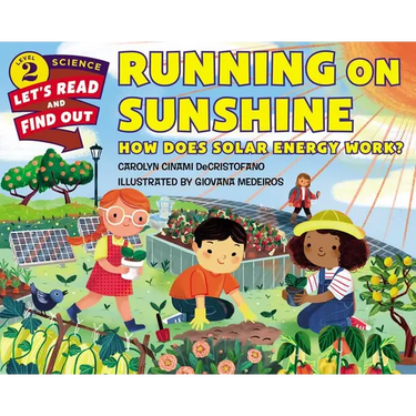 Running on Sunshine: How Does Solar Energy Work?