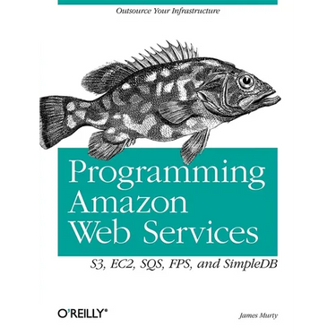 Programming Amazon Web Services: S3, EC2, SQS, FPS, and SimpleDB