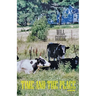 Time and The Place