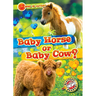 Baby Horse or Baby Cow?