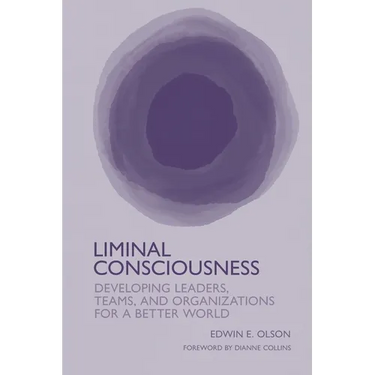 Liminal Consciousness: Developing Leaders, Teams, and Organizations for a Better World
