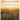 Virtues of Horsemen: Walking with the Holy Spirit A Devotional