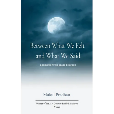 Between What We Felt and What We Said poems from the space between