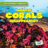 What If Corals Disappeared?