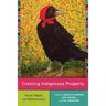 Creating Indigenous Property: Power, Rights, and Relationships