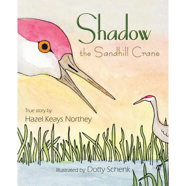 Shadow the Sandhill Crane