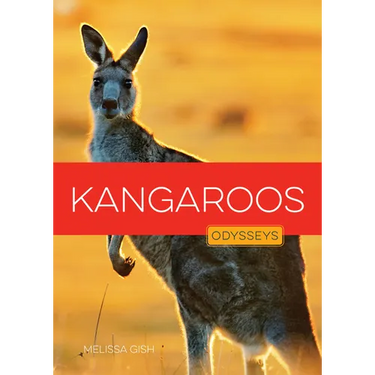 Kangaroos