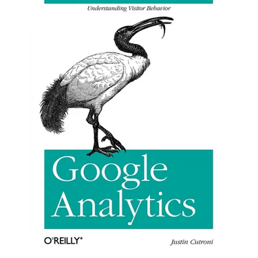 Google Analytics: Understanding Visitor Behavior