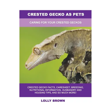 Crested Gecko as Pets: Caring For Your Crested Geckos
