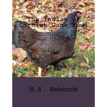 The Indian or Cornish Game Fowl: Its Description, Characteristics, Origin, History and Breeding