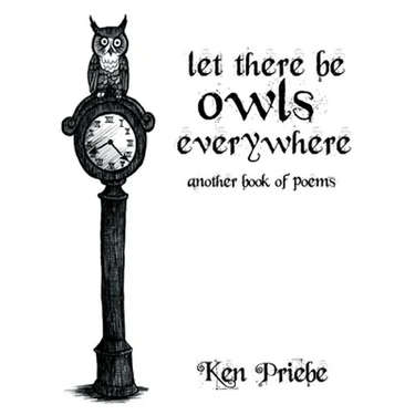 Let There Be Owls Everywhere: Another Book of Poems