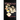 Witchstones