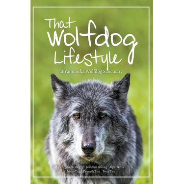 That Wolfdog Lifestyle: at Yamnuska Wolfdog Sanctuary
