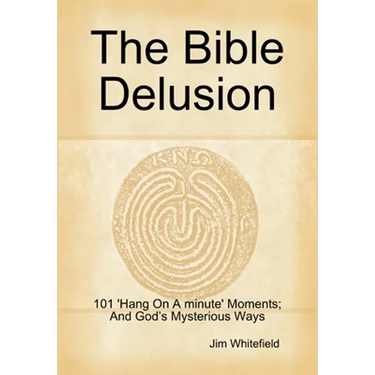 The Bible Delusion: 101 'Hang On A Minute' Moments; And God's Mysterious Ways