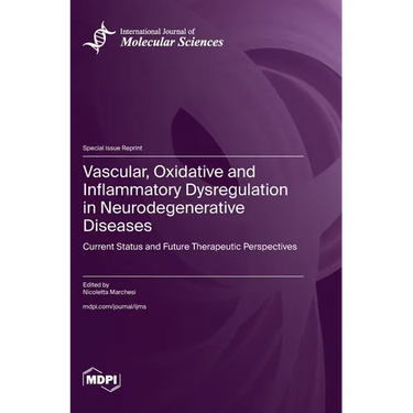 Vascular, Oxidative and Inflammatory Dysregulation in Neurodegenerative Diseases: Current Status and Future Therapeutic Perspectives