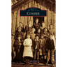 Conifer