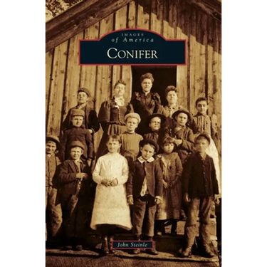 Conifer