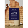 The Israel Bible - Chronicles