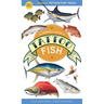 The Perfect Catch of Tattoo Fish: 50 Temporary Tattoos That Teach