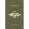 The Metamorphosis of You