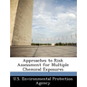 Approaches to Risk Assessment for Multiple Chemical Exposures