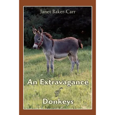 An Extravagance of Donkeys