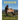 Tecolote: The Little Horse That Could