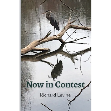 Now in Contest
