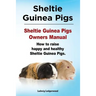 Sheltie Guinea Pigs. Sheltie Guinea Pigs Owners Manual. How to raise happy and healthy Sheltie Guinea Pigs.