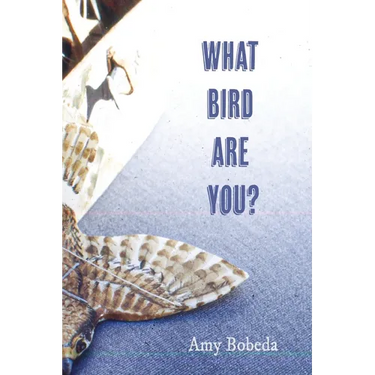What Bird are You